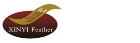 XINYI